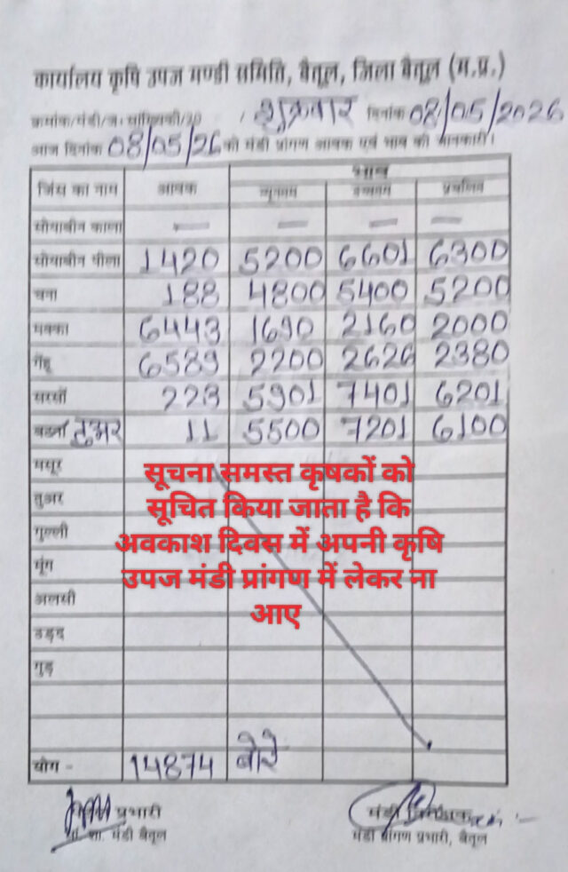 Betul Mandi Bhav 8 May: बैतूल मंडी भाव 8 मई: सरसों और सोयाबीन के दामों में उछाल, जानें गेहूं-मक्का के ताजा रेट