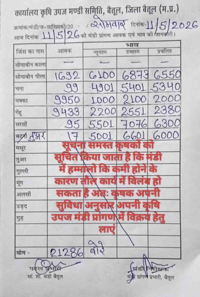 Betul Mandi Bhav 11 May: आज 21,000 से अधिक बोरों की आवक, देखें सोयाबीन, गेहूं और मक्का के ताजा रेट
