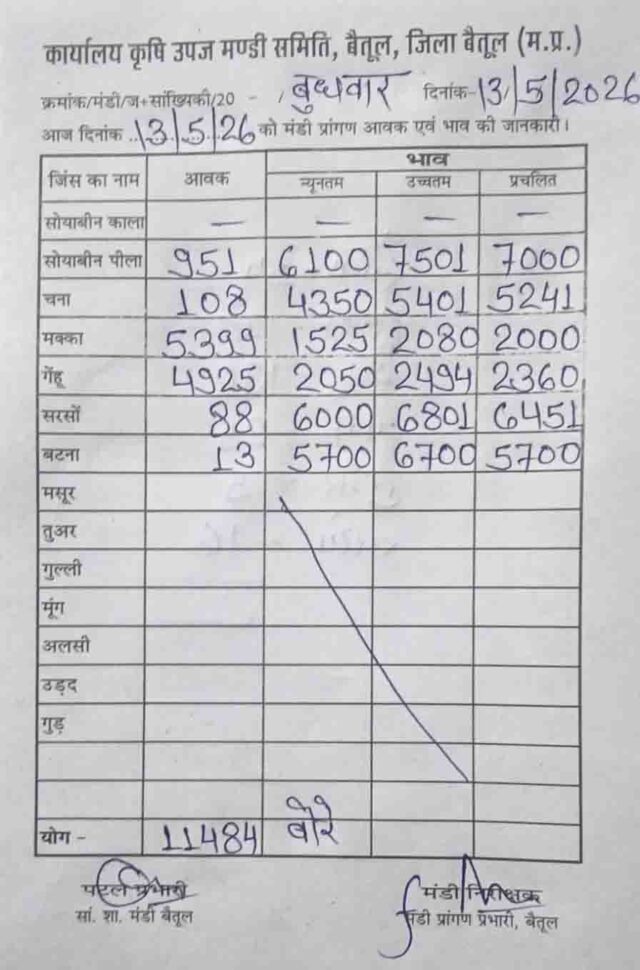 Betul Mandi Bhav Today: बैतूल मंडी भाव: सोयाबीन ने भरी ऊंची उड़ान, गेहूं और मक्का की बंपर आवक से मंडी गुलजार