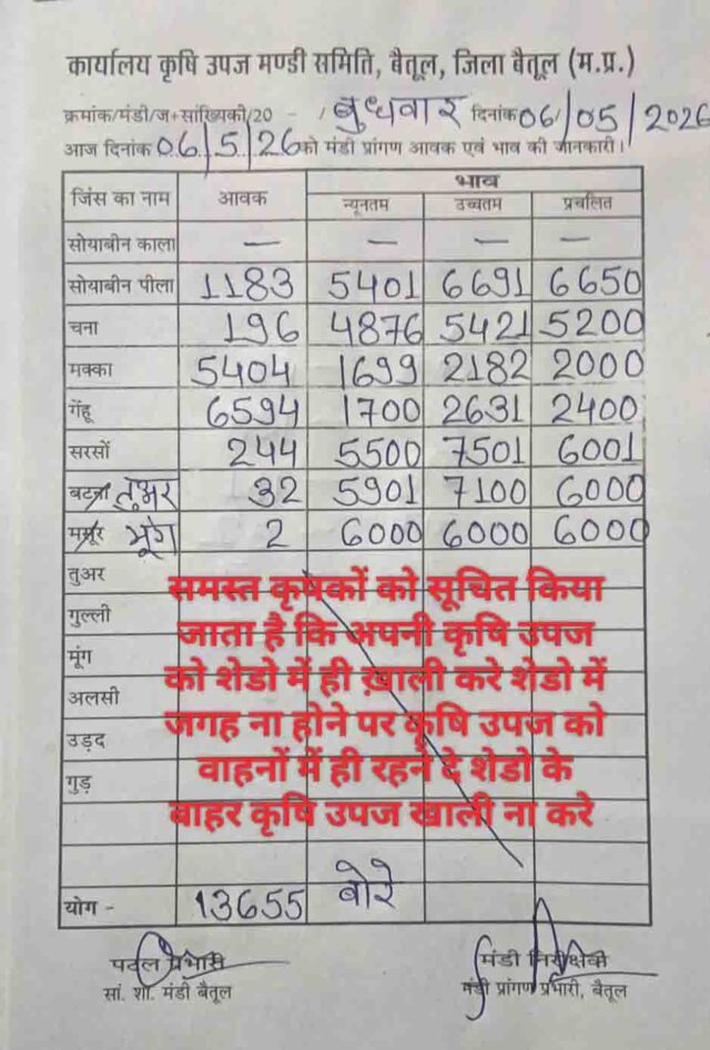 Betul Mandi Bhav 6 May: बैतूल मंडी भाव: गेहूं और सोयाबीन की बंपर आवक, सरसों के दाम ₹7500 के पार, देखें आज की रेट लिस्ट