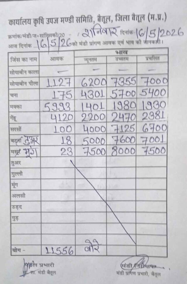 Betul Mandi Bhav 16 May: बैतूल मंडी में सोयाबीन ₹7355 और मूंग ₹8000 पार, जानिए गेहूं, मक्का और चना का ताजा भाव