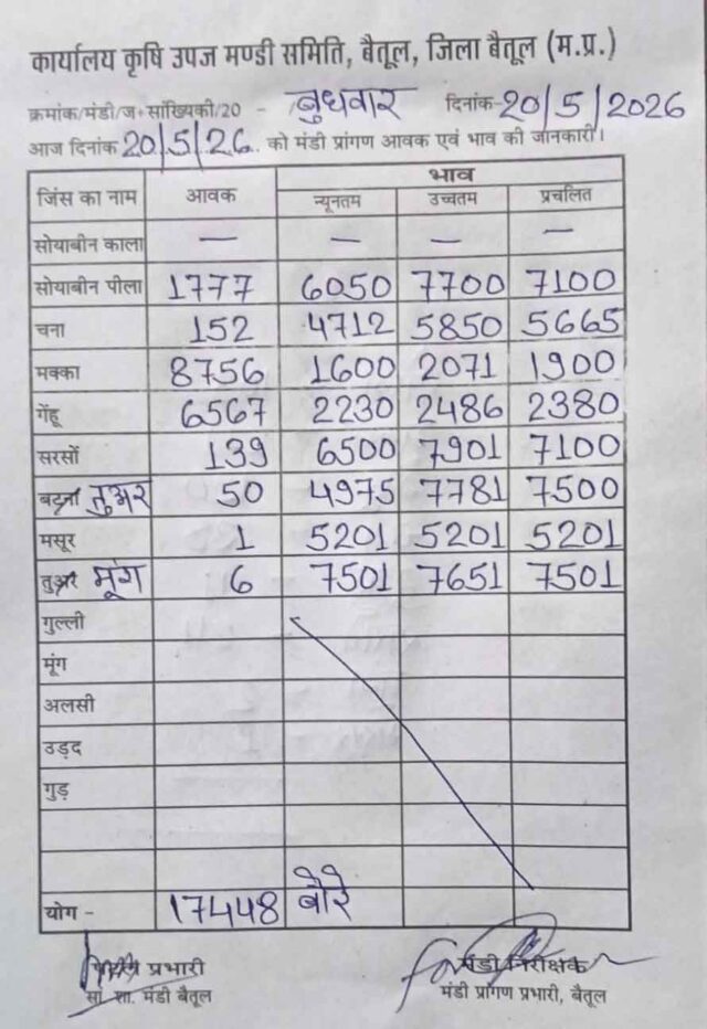 Betul Mandi Bhav: बैतूल कृषि मंडी में 17 हजार से ज्यादा बोरे की आवक, जानिए आज के ताजा भाव