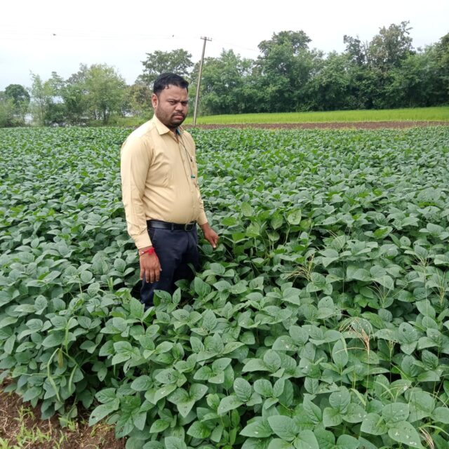 Modern Farming Success: सरकारी योजनाओं से बदली किस्मत, बैतूल के युवा किसान ने खेती से कमाए लाखों रुपये