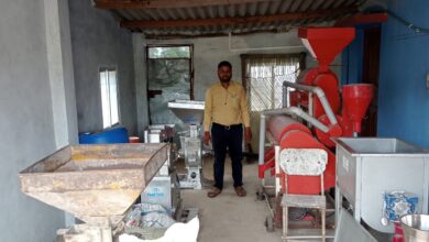 Modern Farming Success: सरकारी योजनाओं से बदली किस्मत, बैतूल के युवा किसान ने खेती से कमाए लाखों रुपये