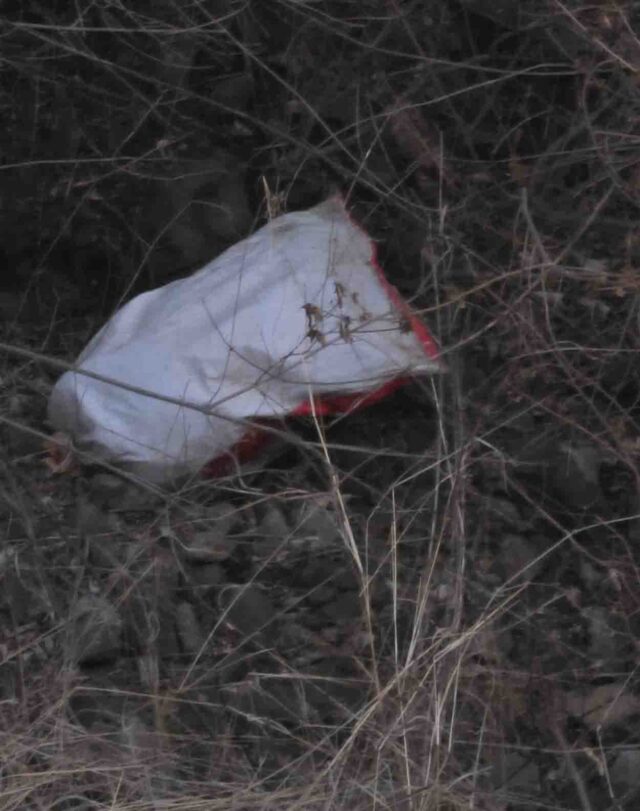 Mulatai Child Murder Case: खेलने के बहाने ले गए, फिर कर दी हत्या; मुलताई के दिल दहला देने वाले कांड का खुलासा