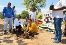 Plantation Drive Betul: विश्व पर्यावरण दिवस पर बड़ा अभियान: परम डिस्ट्रीब्यूटर्स ने लगाए 2000 पौधे, हरियाली से संवरेगा क्षेत्र