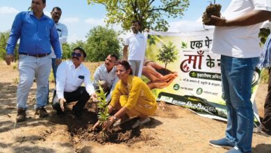 Plantation Drive Betul: विश्व पर्यावरण दिवस पर बड़ा अभियान: परम डिस्ट्रीब्यूटर्स ने लगाए 2000 पौधे, हरियाली से संवरेगा क्षेत्र