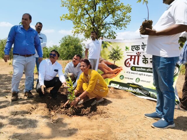 Plantation Drive Betul: विश्व पर्यावरण दिवस पर बड़ा अभियान: परम डिस्ट्रीब्यूटर्स ने लगाए 2000 पौधे, हरियाली से संवरेगा क्षेत्र
