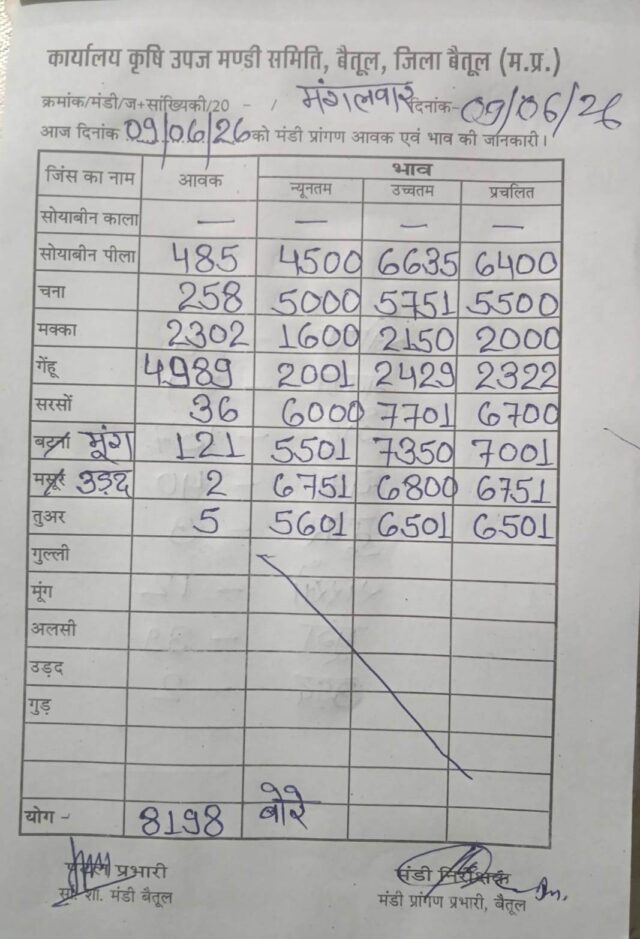 Betul Mandi Bhav: बैतूल मंडी में 8198 बोरी उपज की आवक, जानिए गेहूं, सोयाबीन और मक्का के ताजा भाव