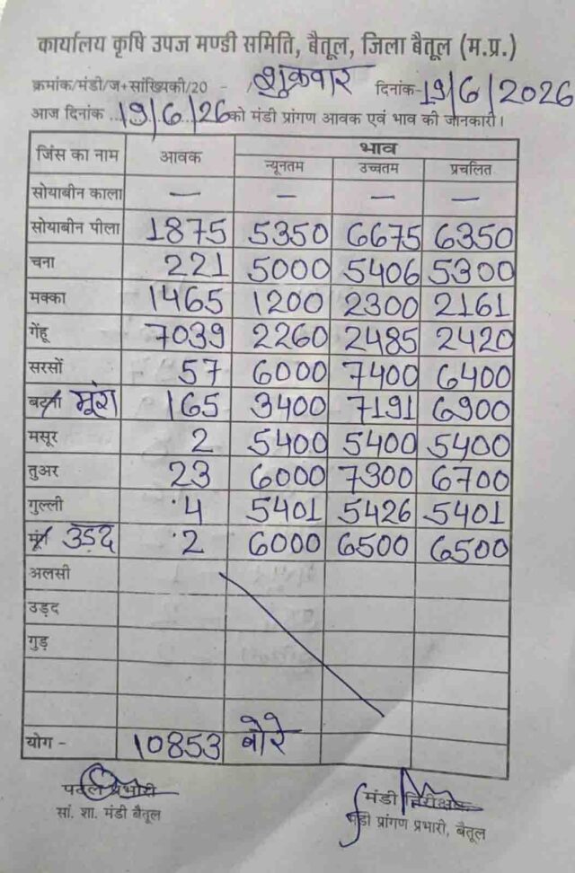 Betul Mandi Bhav 19 June: बैतूल मंडी भाव 19 जून: 10,853 बोरी आवक, सोयाबीन 6675 और गेहूं 2485 रुपये तक