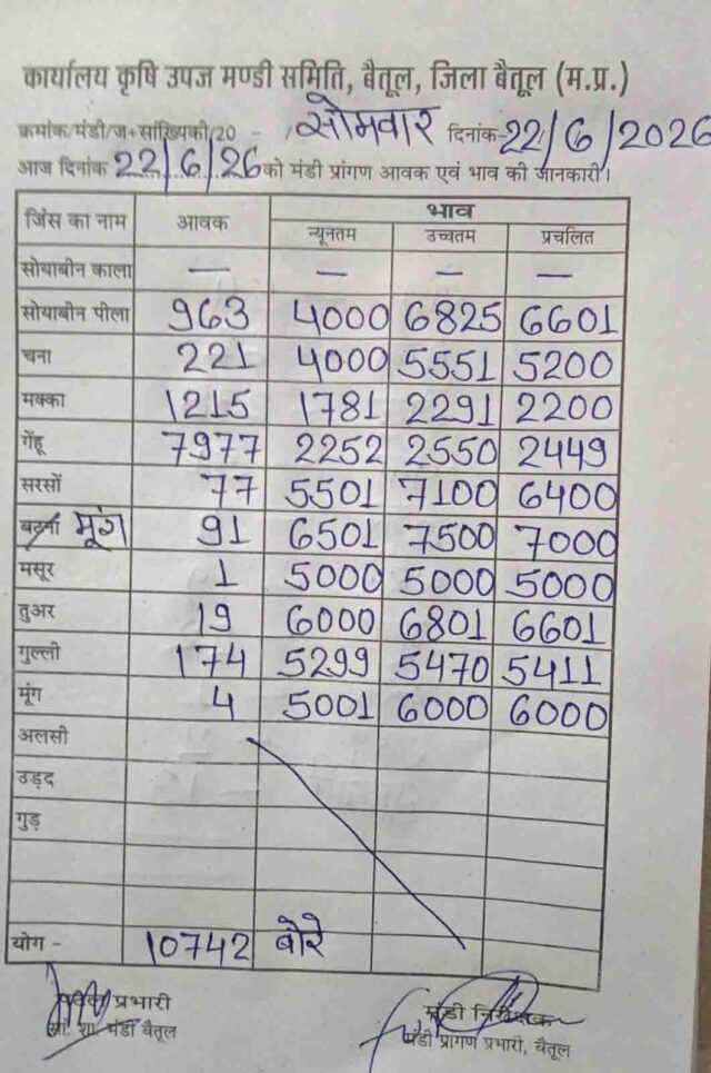 Betul Mandi Bhav 22 June: बैतूल मंडी में 10,742 बोरी उपज की आवक, गेहूं-मूंग के भाव रहे मजबूत, कल रहेगी बंद