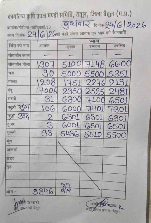 Betul Mandi Bhav 24 June: मंडी में सोयाबीन-मूंग की चमक बरकरार, गेहूं की 7000 से ज्यादा बोरी पहुंची