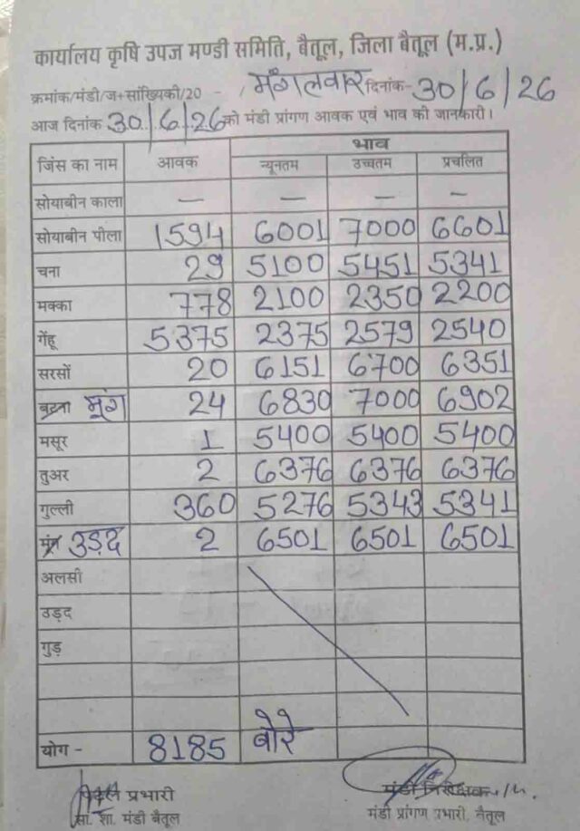 Betul Mandi Bhav 30 June: बैतूल मंडी भाव: गेहूं, सोयाबीन और सरसों के दाम रहे मजबूत, जानिए सभी फसलों के ताजा रेट