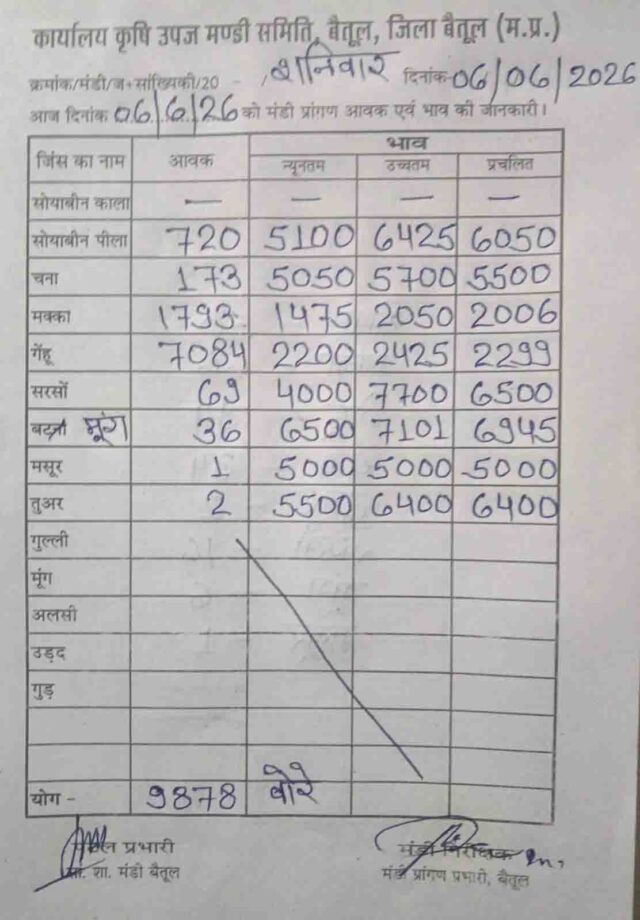 Betul Mandi Bhav 06 June: बैतूल मंडी में 9878 बोरे की आवक, सोयाबीन 6050 और गेहूं 2299 रुपये पर पहुंचा