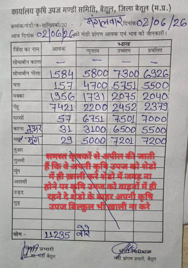 Betul Mandi Bhav 02 June: बैतूल मंडी में मूंग ने मारी बाजी, 7200 रुपये तक पहुंचे भाव, जानिए सभी फसलों के रेट