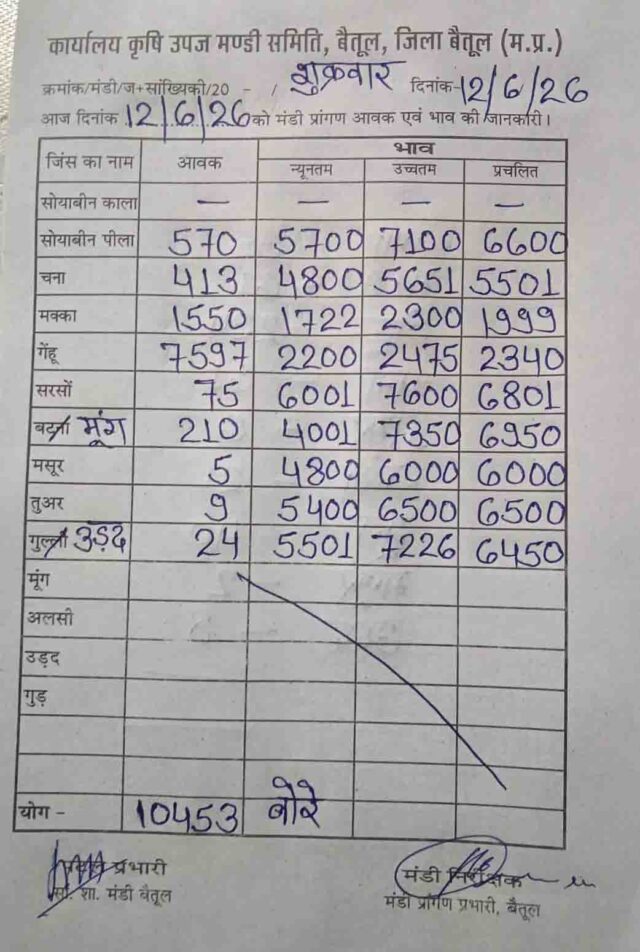 Betul Mandi Bhav 12 June: सोयाबीन 7100 और मूंग 7350 तक पहुंची, 10453 बोरी उपज आई, बैतूल मंडी के नए भाव जारी