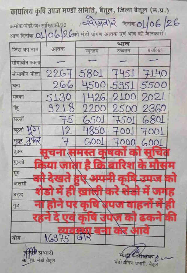 Betul Mandi Bhav 01 June: बैतूल मंडी भाव: सोयाबीन 7451 और सरसों 7501 रुपये तक पहुंची, जानिए सभी फसलों के ताजा रेट