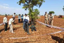 Saikheda Murder Case: शराब पिलाकर ले गया सुनसान में, पत्थर से सिर कुचलकर की हत्या, आरोपी गिरफ्तार