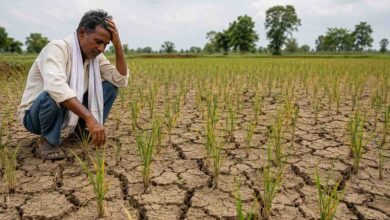 MP Monsoon Update: मध्यप्रदेश में सूखे जैसे हालात, मौसम वैज्ञानिक ने बताया कब लौट सकती है बारिश