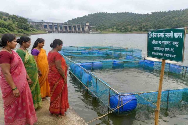 Betul Cage Culture Fish Farming: बैतूल में पहली बार होगी केज कल्चर से मछली पालन की शुरुआत, महिलाओं को मिलेगा नया रोजगार