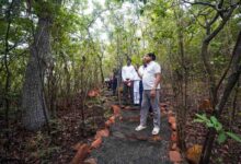 Kukru Eco Tourism: मानसून में स्वर्ग बना बैतूल का कुकरू, कॉफी बागानों और हरियाली से जीत रहा पर्यटकों का दिल