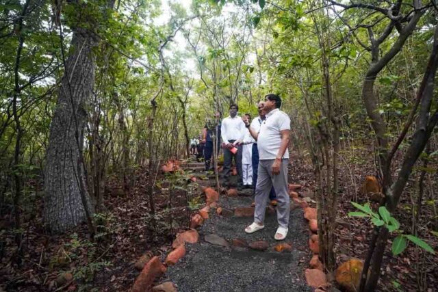 Kukru Eco Tourism: मानसून में स्वर्ग बना बैतूल का कुकरू, कॉफी बागानों और हरियाली से जीत रहा पर्यटकों का दिल
