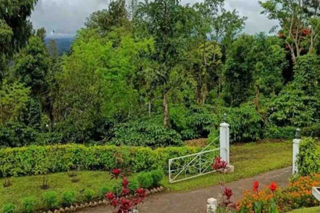 Kukru Eco Tourism: मानसून में स्वर्ग बना बैतूल का कुकरू, कॉफी बागानों और हरियाली से जीत रहा पर्यटकों का दिल