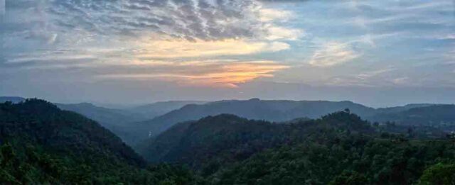 Kukru Eco Tourism: मानसून में स्वर्ग बना बैतूल का कुकरू, कॉफी बागानों और हरियाली से जीत रहा पर्यटकों का दिल