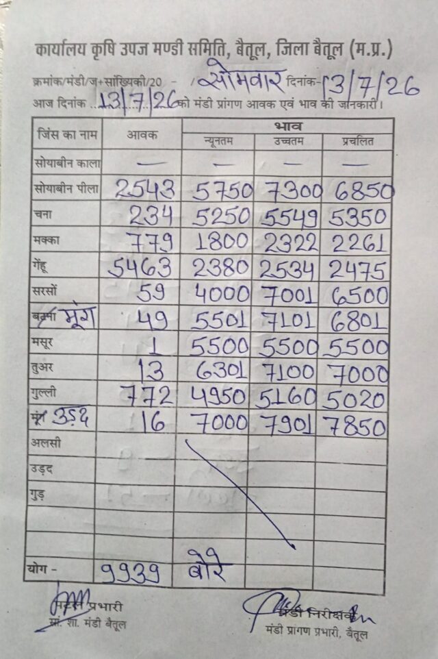 Betul Mandi Bhav 13 July: बैतूल मंडी भाव 13 जुलाई 2026: गेहूं की सबसे ज्यादा 5,463 बोरी आवक, जानें सभी फसलों के ताजा रेट
