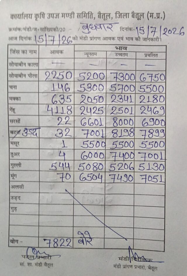 Betul Mandi Bhav 15 July: बैतूल मंडी में 7,822 बोरी उपज की आवक, सोयाबीन 6,750 और उड़द 8,198 रुपये तक बिका