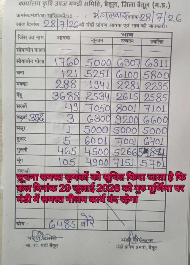 Betul Mandi Bhav: बैतूल कृषि मंडी में 6485 बोरी उपज की आवक, देखें 28 जुलाई के सभी फसलों के भाव, 