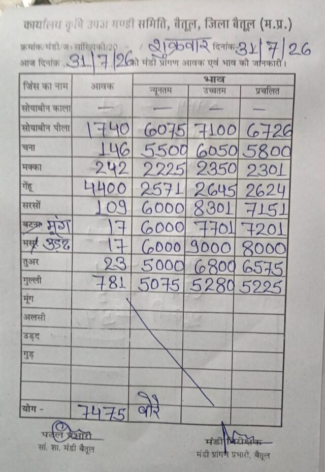 Betul Mandi Bhav 31 July: बैतूल मंडी भाव 31 जुलाई: गेहूं की 4400 बोरी आवक, सोयाबीन 7100 रुपये तक बिका