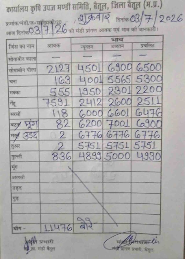 Betul Mandi Bhav 03 July: बैतूल मंडी भाव: सोयाबीन 6900 और मूंग 7001 रुपये तक पहुंची, किसानों को राहत