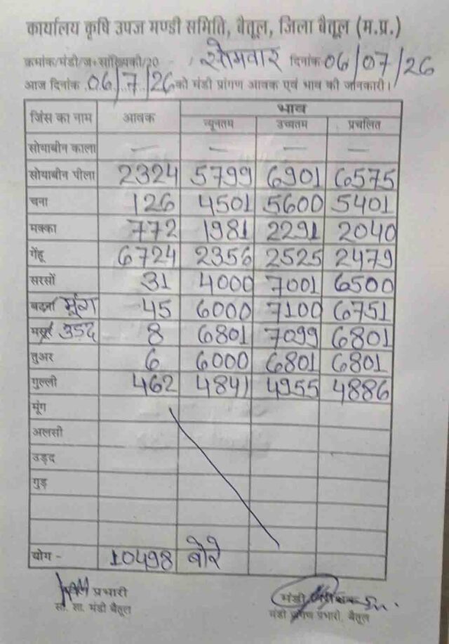 Betul Mandi Bhav 06 July: बैतूल मंडी भाव 6 जुलाई: सोयाबीन 6901 रुपये, गेहूं की सबसे ज्यादा 6724 बोरी आवक