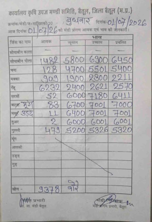 Betul Mandi Bhav 01 July: बैतूल मंडी 01 जुलाई 2026: सोयाबीन 6900 और सरसों 7180 रुपये तक बिकी, देखें पूरी भाव सूची