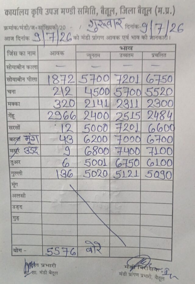 Betul Mandi Bhav 09 July: बैतूल मंडी में किसानों को राहत, सोयाबीन 7201 और उड़द 7400 रुपये तक बिका