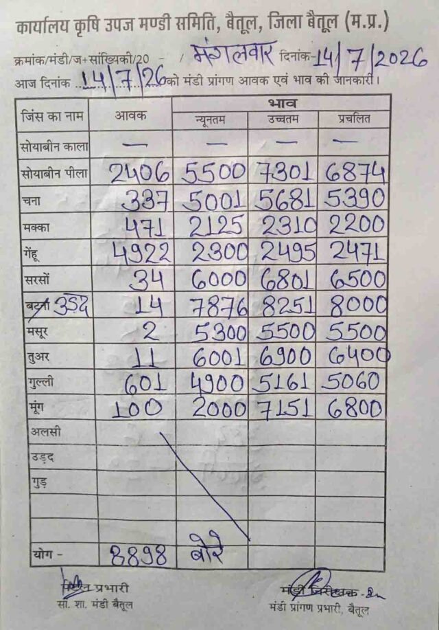 Betul Mandi Bhav 14 July: बैतूल मंडी में आज क्या रहे अनाज के भाव? सोयाबीन 7301 और उड़द 8251 रुपये तक बिका