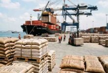 wheat export policy shift: गेहूं के निर्यात पर भारत सरकार ने हटाई रोक, जानिए किसको होगा फायदा