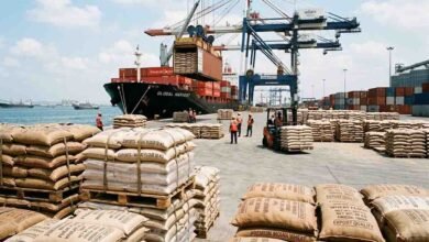 wheat export policy shift: गेहूं के निर्यात पर भारत सरकार ने हटाई रोक, जानिए किसको होगा फायदा