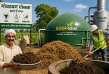 Gobardhan Scheme 2026: गोबरधन योजना को मंजूरी: गोबर और पराली से होगी कमाई, किसानों की आय बढ़ाने की बड़ी तैयारी