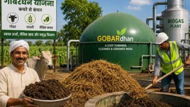 Gobardhan Scheme 2026: गोबरधन योजना को मंजूरी: गोबर और पराली से होगी कमाई, किसानों की आय बढ़ाने की बड़ी तैयारी
