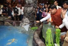 Virtual Zoo Indore: सीएम मोहन यादव ने किया देश के पहले वर्चुअल चिड़ियाघर का शुभारंभ, 14-डी सिनेमा और वर्चुअल जंगल सफारी की भी सौगात