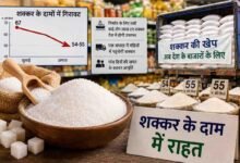 Sugar Price Drop: त्योहारों से पहले सस्ती होगी शक्कर, सरकार ने उठाया बड़ा कदम, इस फैसले से गिरेंगे चीनी के दाम