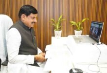 Balram Krishi Mahotsav: बलराम कृषि महोत्सव में सीएम मोहन यादव का बड़ा ऐलान, आय बढ़ाने पर सरकार का फोकस, दिन में भी सिंचाई के लिए बिजली