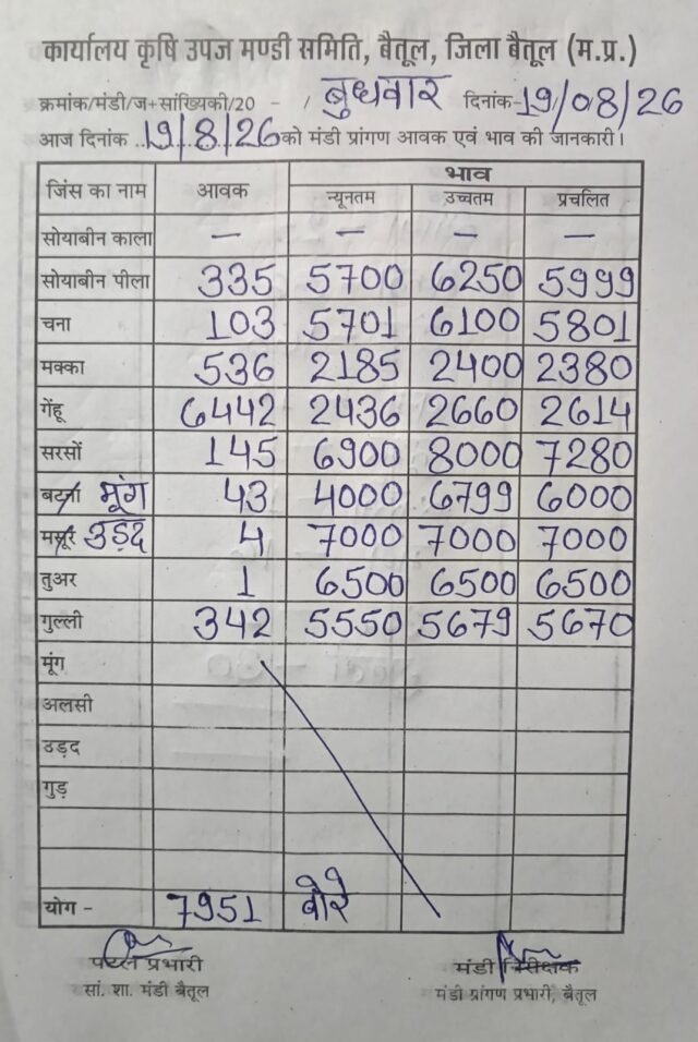 Betul Mandi Today: बैतूल मंडी में 7951 बोरी उपज की आवक, गेहूं सबसे आगे, जानें आज के भाव