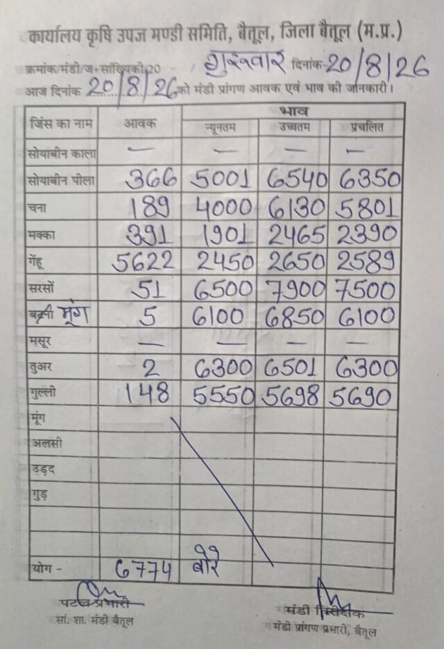 Betul Mandi Bhav: बैतूल मंडी में 6774 बोरी कृषि उपज की आवक, गेहूं सबसे आगे; देखें फसलवार भाव