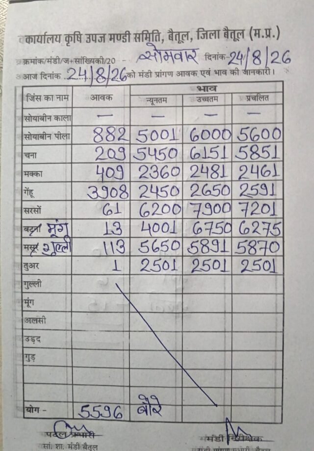Betul Mandi Bhav: बैतूल मंडी भाव 24 अगस्त: गेहूं की बंपर आवक, सरसों और सोयाबीन के भाव ने पकड़ी रफ्तार, देखें पूरा रेट चार्ट