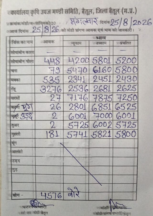 Betul Mandi Bhav: बैतूल कृषि उपज मंडी में 4576 बोरी आवक दर्ज, गेहूं ₹2681 और सरसों ₹7875 तक बिकी, देखें पूरी रिपोर्ट