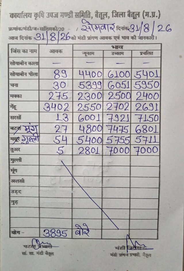 Betul Mandi Bhav: बैतूल मंडी आज के ताजा भाव: गेहूं और मक्का के दामों में हलचल, जानिए किस फसल का क्या रहा भाव