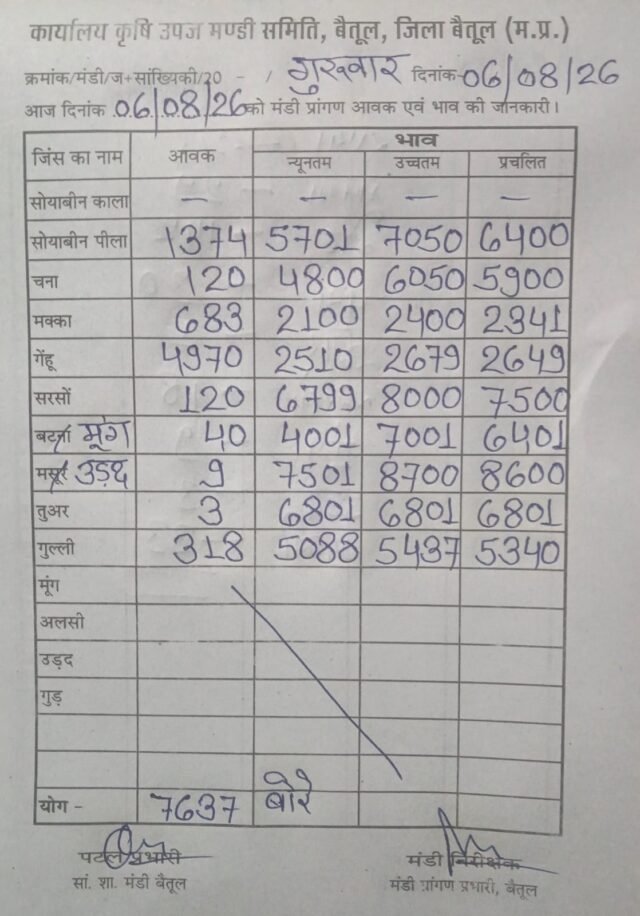 Betul Mandi Bhav 6 August: बैतूल मंडी भाव 6 अगस्त 2026: गेहूं की 4,970 बोरी आवक, जानें सभी फसलों के ताजा रेट